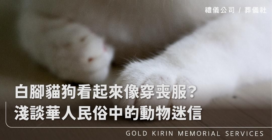 白腳貓狗看起來像穿喪服？淺談華人民俗中的動物迷信_上方-778x402.jpg