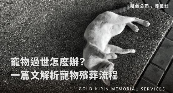 寵物過世怎麼辦?一篇文解析寵物殯葬流程