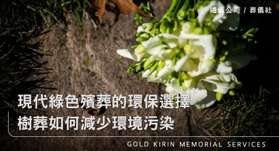 現代綠色殯葬的環保選擇，樹葬如何減少環境污染