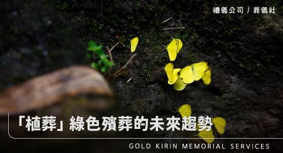 「植葬」綠色殯葬的未來趨勢