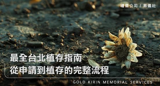 最全台北植存指南,從申請到植存的完整流程