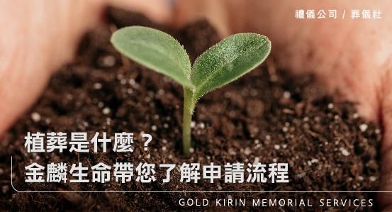 植葬是什麼?金麟生命帶您了解申請流程