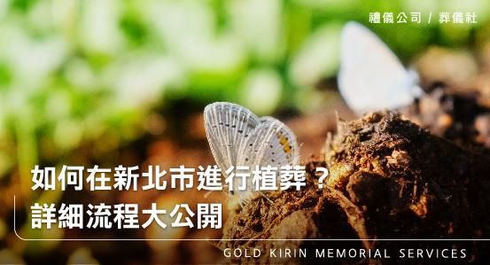 如何在新北市進行植葬?詳細流程與指引
