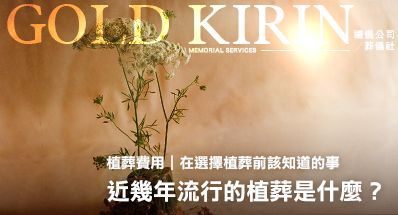 植葬費用|近幾年流行的植葬是什麼?在選擇前該知道的事